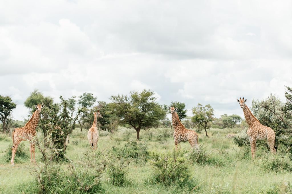 Monate Game Lodge Модимоле Екстериор снимка