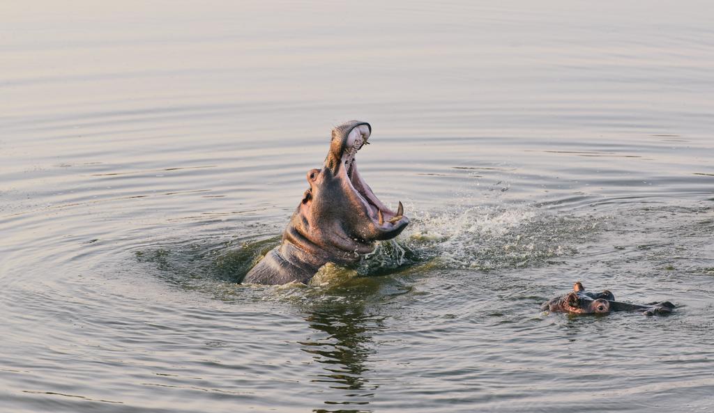 Monate Game Lodge Модимоле Екстериор снимка